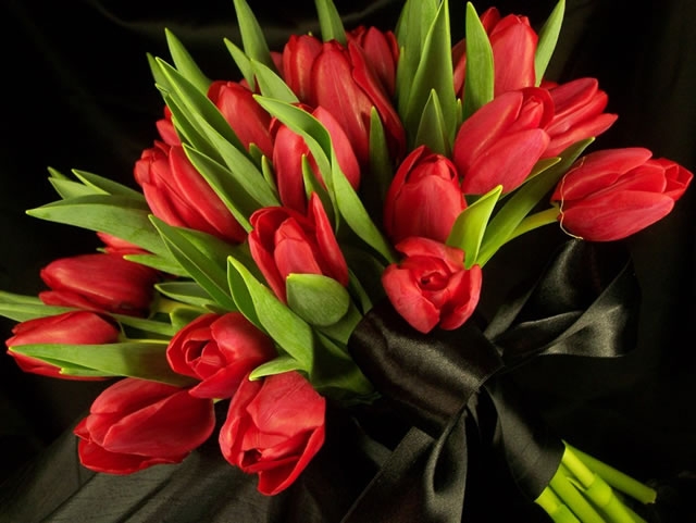 Enchanted Florist Red Tulip Bouquet