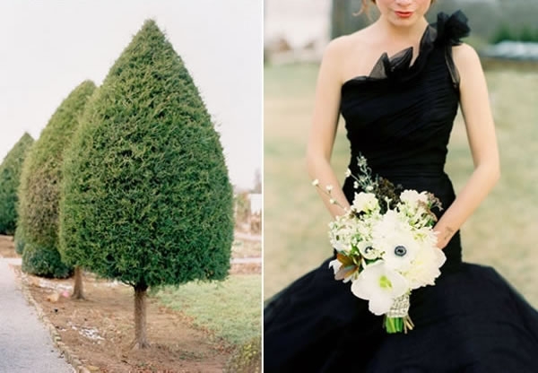 Simply Stunning Black Vera Wang at b. Hughes Bridal
