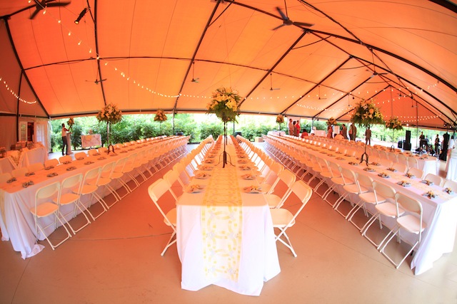 zoo nashville wedding diy crafty yellow and grey