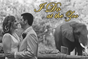 Banner-Zoo