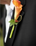 Weddings - Fall 
